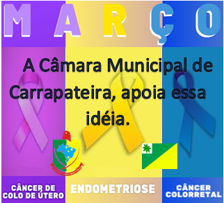 MARÇO LILAS - AMARELO E AZUL MARINHO